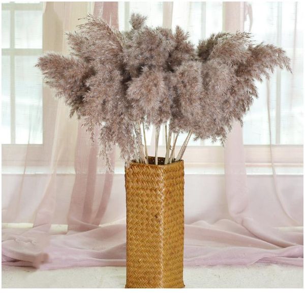 

natural dried pampas grass phragmites communis for wedding dried flower bouquet home decor diy craft dry flowers de jllejf