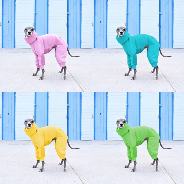 

high collar pet dog clothes accessories hood pet multi color hound puppy apparel warm ropa para perros fashion 27lm g2