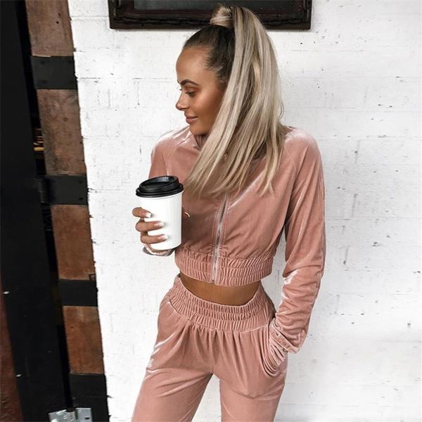 

2019 autumn winter clothes fashion women sweatshirt crop pants sets velvet tracksuit velour smooth soft suit women 2pcs set, Gray
