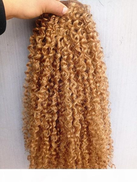 

brazilian human virgin remy brown 27# hair kinky curly hair weft soft double drawn hair extensions, Black