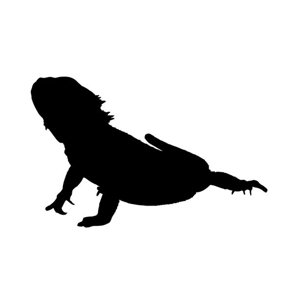 

12.9*8.3cm funny komodo dragon reptile lizard car stickers vinyl c12-1198