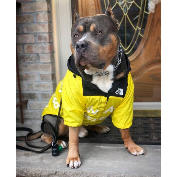 

usa national flag fashion windproof rainproof cotton dog dog large dog raincoats pet jackets wmtfpm loveshop01
