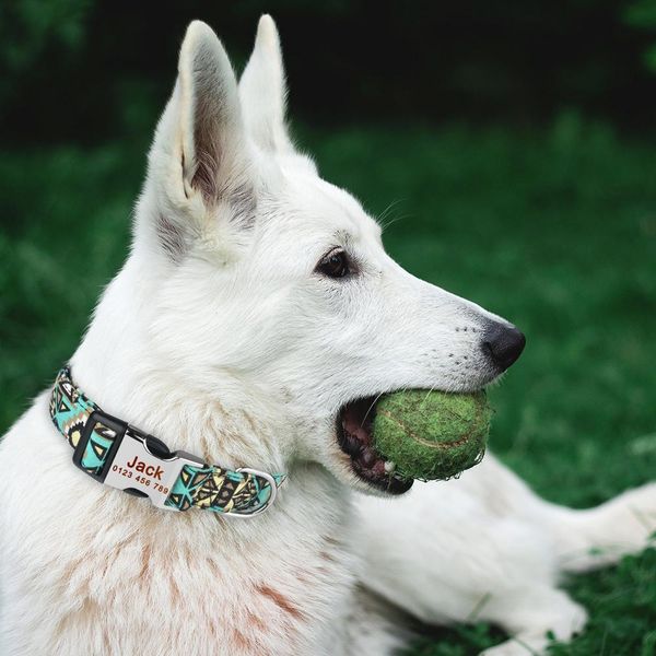 

airuidog personalized dog collar polyester floral custom engraved name id male female pet airuidog personalized q wmtktq