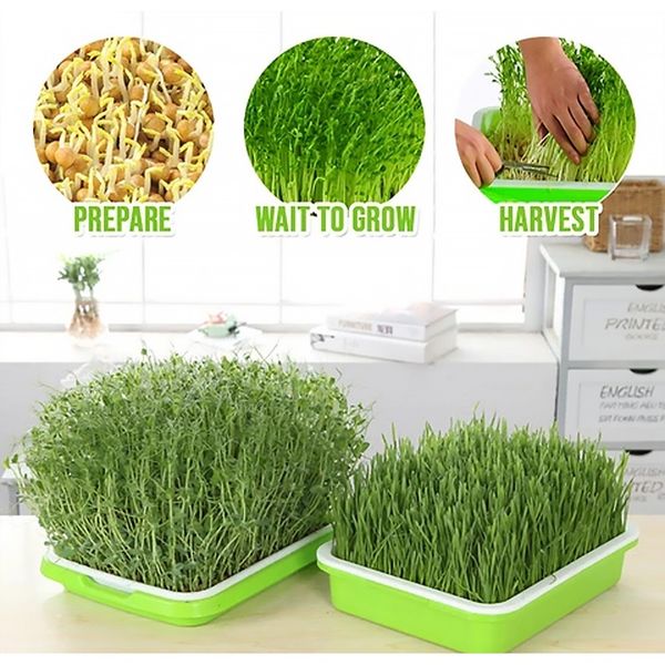 

hydroponics seedling tray double layers seed sprout plate vegetable nursery grow tray hydroponics seedling h wmtxrx