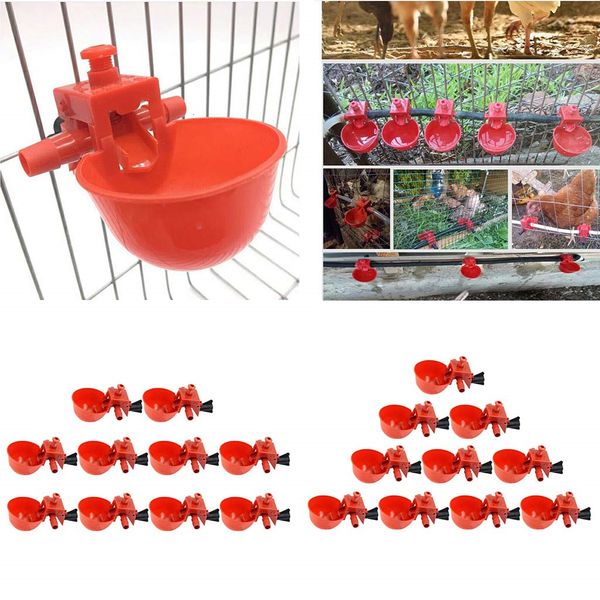 

pack water drinking cups- poultry 20 plastic chicken hen automatic drinker