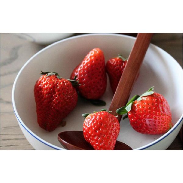 

fast shipping new wooden tableware turtle soup spoon japanese ramen wooden long handle colander pot spoon prac wmtxwl toys2010