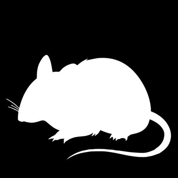 

cartoon little mouse creative stickers car decals personality waterproof decals , 16cm*10cm