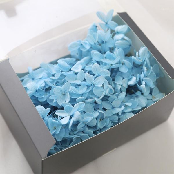 

20g/box natural fresh preserved flowers dried hydrangea flower for diy real eternal life flowers material wedding new year decor1