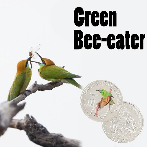 

rh create closeated patas monkey pattern 1000 dalasis gambian натуральные сокровища монеты коллекционные монеты для коллекции f wmtsoc