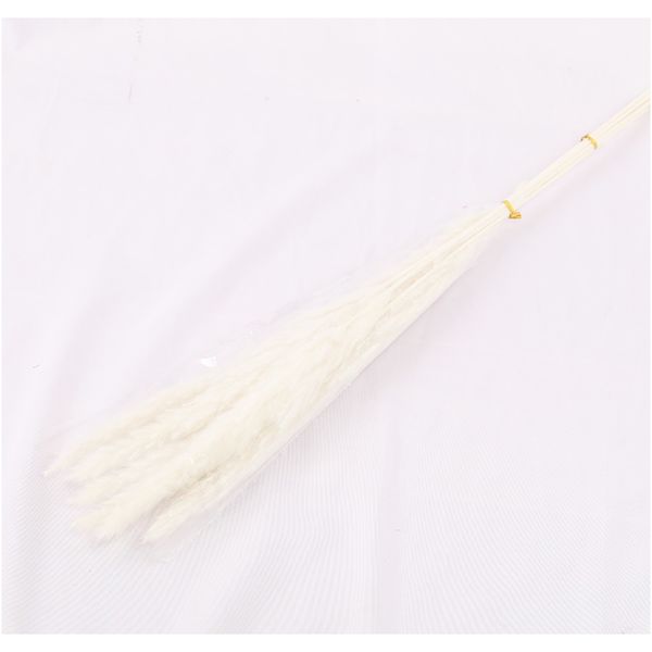 

7 шт. натуральные искусственные высушенные цветы bulrush маленькие пампас трава фрагмиты diy поддельный цветок белый букет для свадьбы домаш