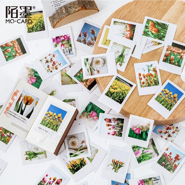 

46 шт box тюльпан сезон scrapbooking наклейки бумаги наклейки хлопья стационарный канцелярские принадлежности художественные принадлежности