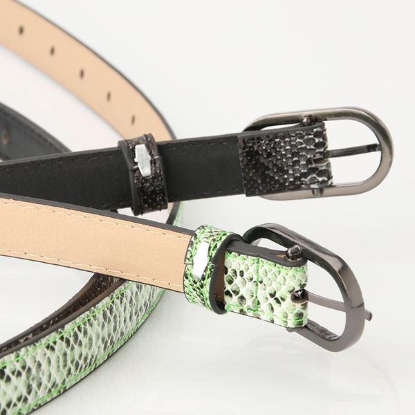 

snake skin print belts women oval pin buckle pu leather waistband fashion snake pattern belt dress jeans cinto feminino decor sqcwjj, Black;brown