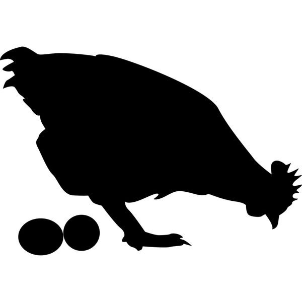 

15.3*10.6cm chicken and eggs interesting car-styling vinyl decal car stickers black/silver s6-2643