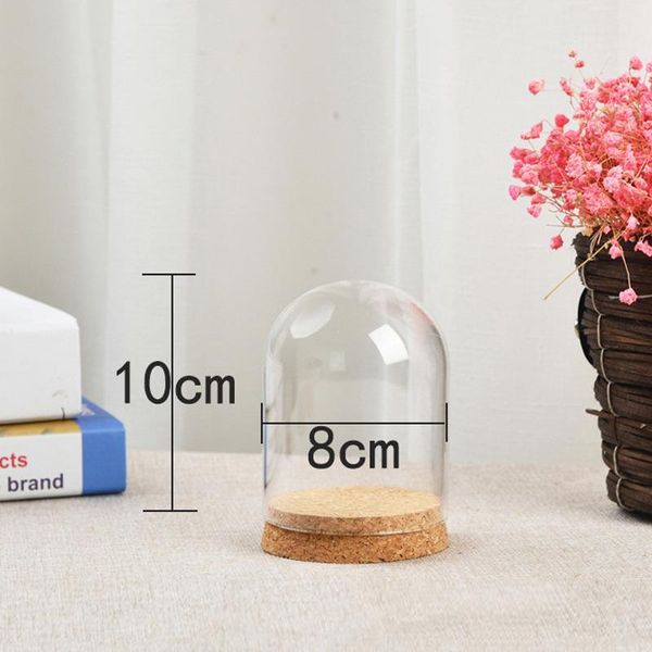 

Plants Plant Glass Cover Decor Kit For Flower Succulent Vase Brand New