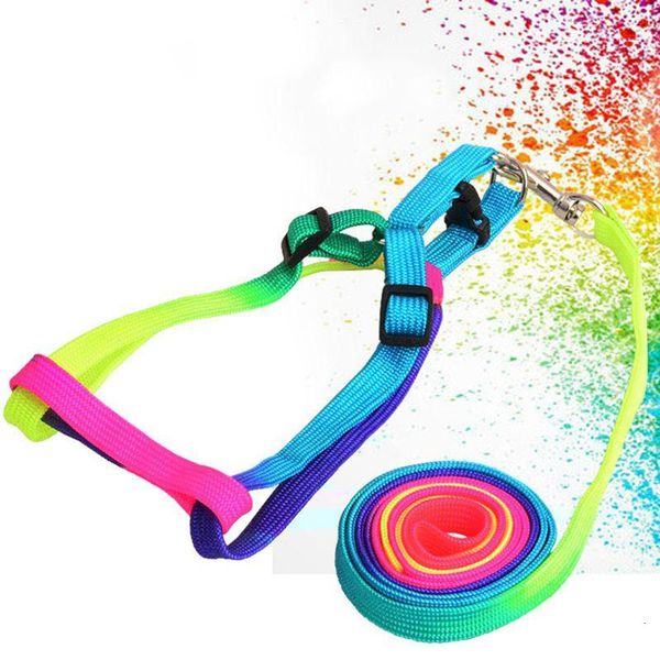 

colorful rainbow pet dog collar harness leash soft walking harness lead colorful and durable traction rope nylon 120cm