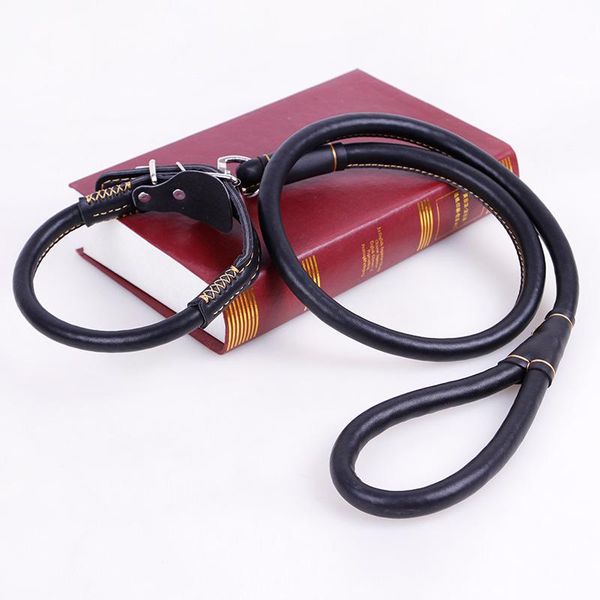 

cortical traction belt pet cat dog leash large dog hide traction rope collar harness collar training accessories