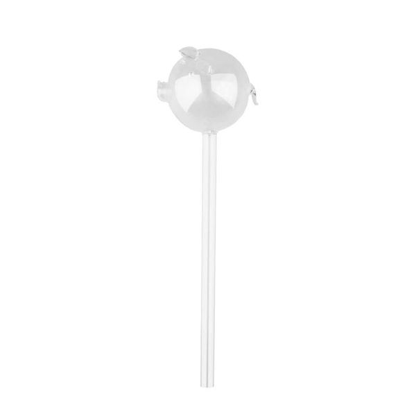 

watering equipments glass self-watering globes, cute pig plant waterer bulbs clear aq x4ye