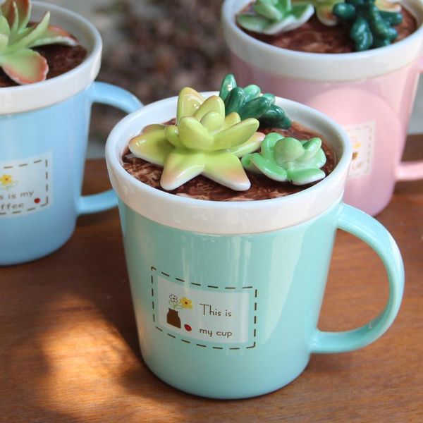

creative zakka succulent on cover milk mug water cup gifts life
