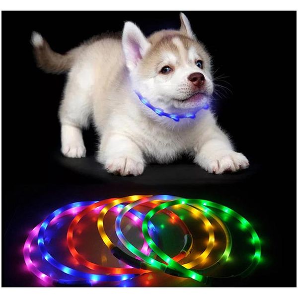 

70cm led pet dog collar rechargeable usb adjustable flashing cat puppy collar safety in night fits all pet sile d wmtece hxclothes