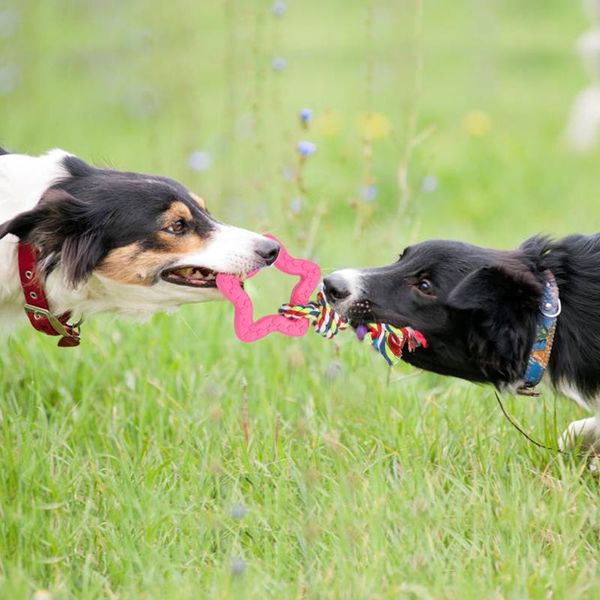 

1 шт. dog toys веревка игрушка для домашних животных кошка шлифовальные зубы зубов чистящие игрушки моделирование miansheng ткачество морков