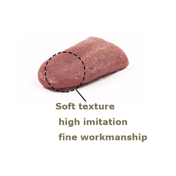 

2020 simulated tongue smell no tongue coating plastic shell whole scary scary fake steel needle through the tongue magic props