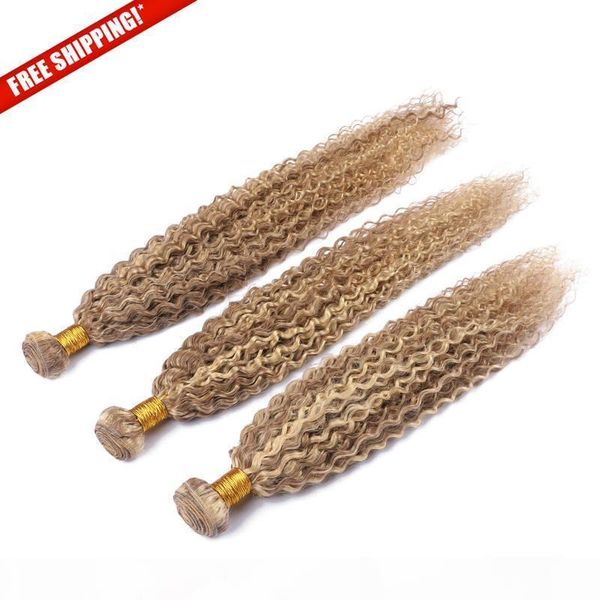 

remy virgin mongolian kinky curly hair weft 24inch 27 613 ombre color virgin human hair extensions, Black