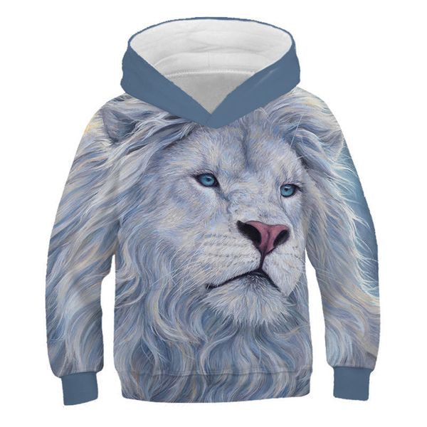 

3d lion boys hoodies teens autumn hooded sweatshirt for boys kids sweatshirt coats children clothes long sleeve pullover 201125, Black