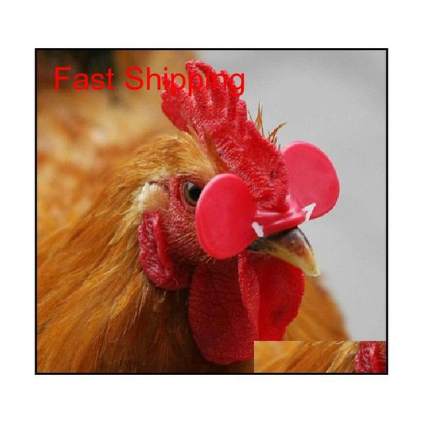 

reative chicken eyes glasses livestock avoid hen peck each other farm supp qylsld sports2010