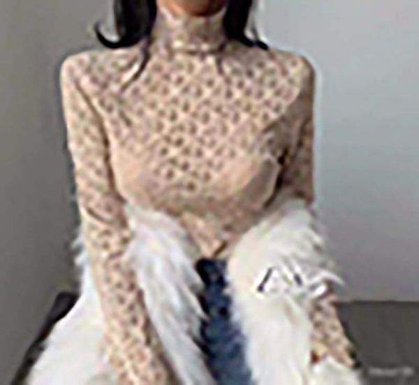 

women blouses leotard letter embroidered long-sleeve t-shirt web celebrity high collar temperament lace versatile long-sleeve 2021, White