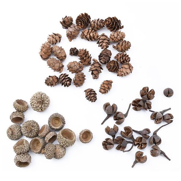 

20pcs natural dried flowers pine cone acorn wholesale artificial flower for home christmas diy garland wreath wedding de bbyifb