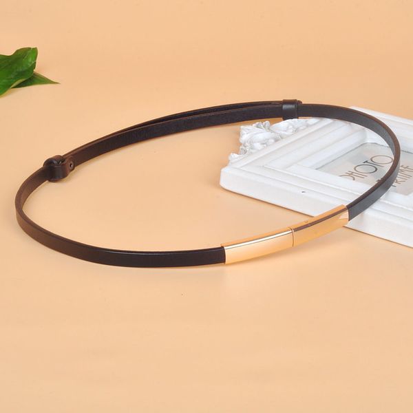 

adjustable thin belt, women's leather with skirt dress, simple and fashionable, versatile small belt, Black;brown