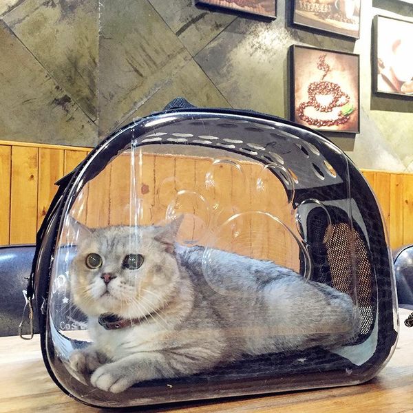 

cat beds & furniture collapsible transparent pet travel bag outdoor dog carries double zipper breathable supplies