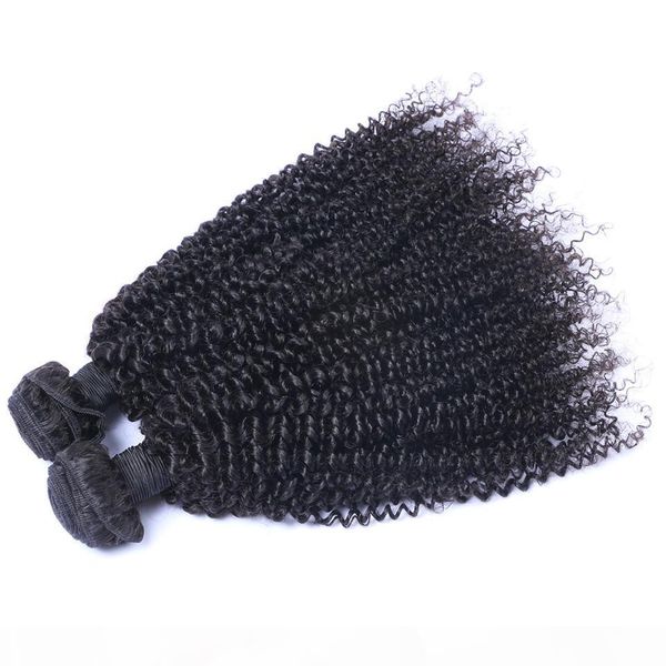 

brazilian kinky curly human hair bundles unprocessed remy hair weaves double wefts 100g bundle 2bundle lot hair extensions, Black