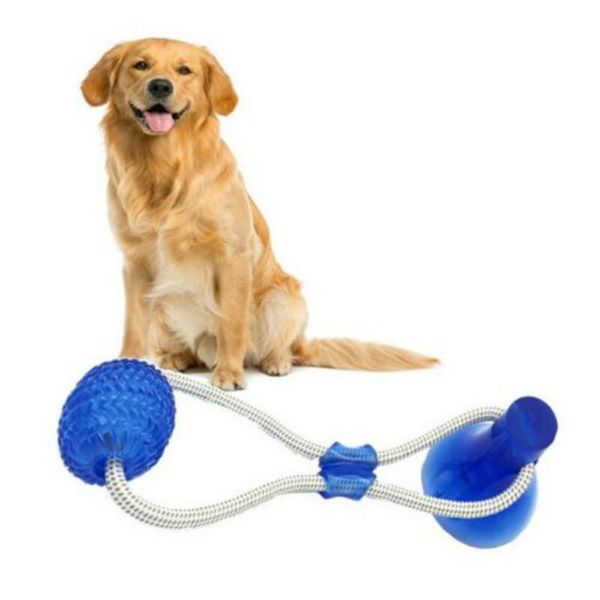 

suction cup dog push toy pet toys molar bite self-playing rubber ball toy molar chew toy dog toothbrush puppy toys dog q wmtezy