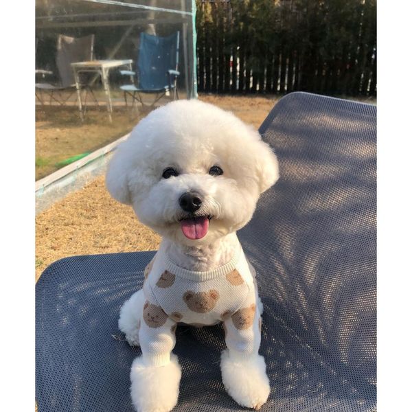 

bear autumn and winter keep warm core yarn hedging cute pet sweater dog dog clothes sqcuzs new_dhbest