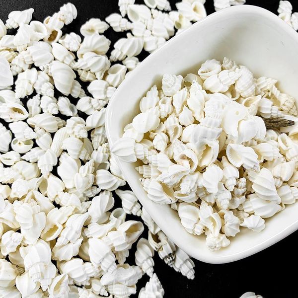 

100g natural white conch shell aquarium fish tank landscape mini conch seashells diy nautical home decor specimen wedding decor h jllquu