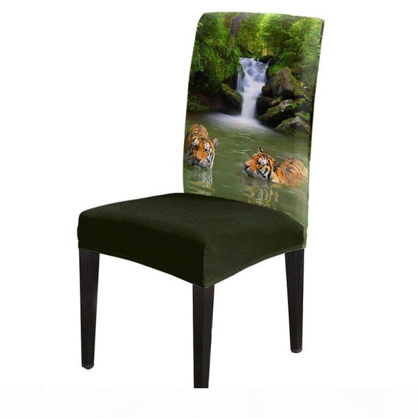 

tiger in the river spandex elastic dining chair slipcover removable kitchen seat case stretch chair cover for banquet
