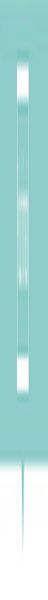 

congis extension rod double sided lazy clean mop light clean wooden dloor crevice magic dust push flat drag soft head glass wipe wmtwjk