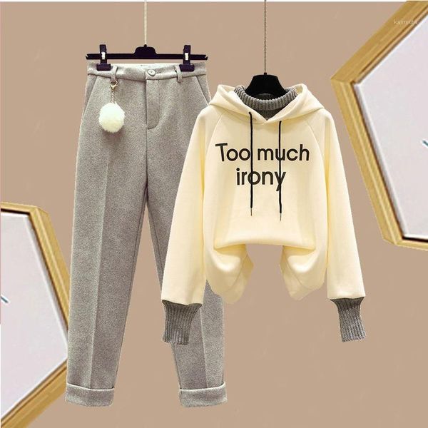 

women's two-piece suit autumn and winter plus velvet sweater fake two-piece loose-fitting blouse design is thin casual pants1, Gray