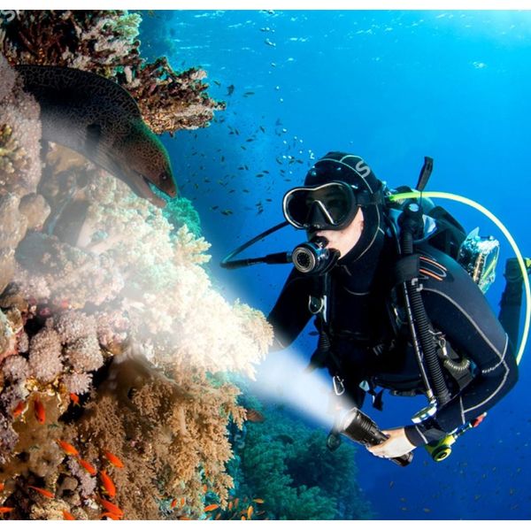 

dl30 dive light 21700 led flashlight underwater scuba diving torch 3600lm triple lh351d high cri magnetic control ring switch f bbypry