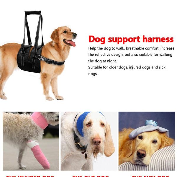 

reflective nylon pet dog lift harness mesh padded adjustable medium large pets lifting vest for old injured dogs wit bbylve