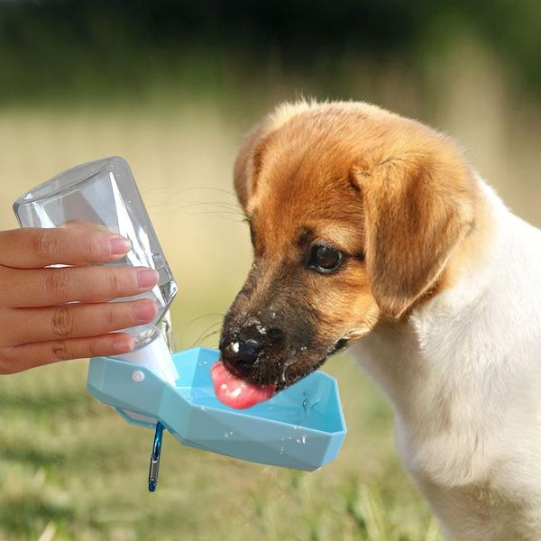 

250ml portable dog water bottle drinking bowls foldable plastic pet puppy water dispenser outdoor travel dog cat wmtlgj