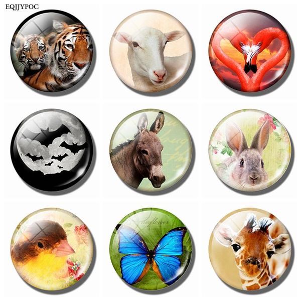 

животные мировые магниты холодильник зебра вольф ворон медведь бабочка белка павлин кролик овцы тигр магнитный холодильник наклейки jllgca