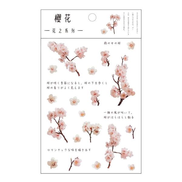 

12 дизайн natural daisy clover японских слов наклейки прозрачные pet материал цветы листья растения deco стикер эстетическая wmtlbe