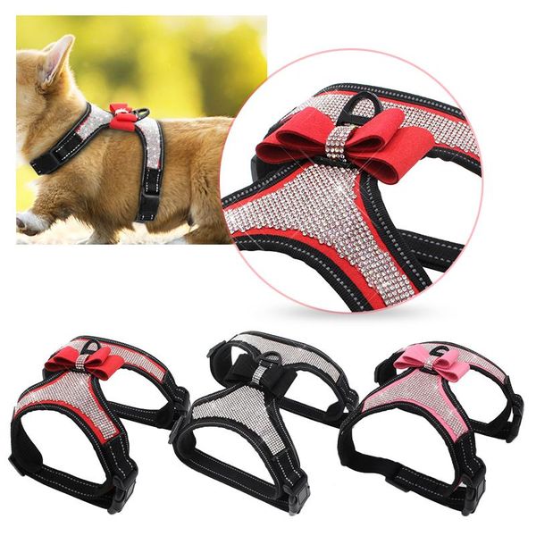 

bling rhinestone dog cat collars leather pet puppy kitten collar walk leash lead for small medium dogs cats dropship