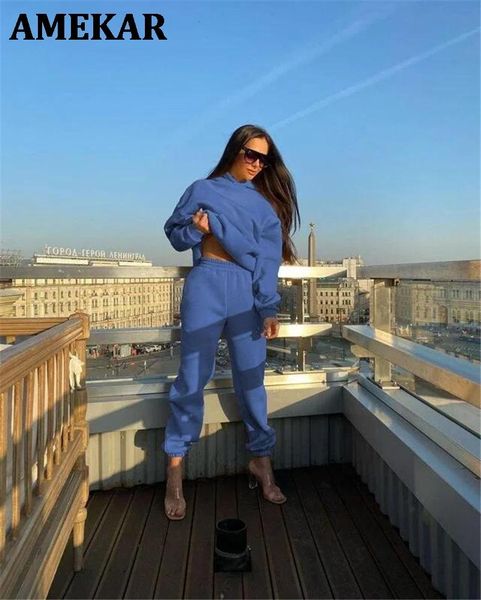 

women's tracksuits two piece casual fleece tracksuit set letter print oversized sweatshirt women hoodie suit winter solid sport, Gray