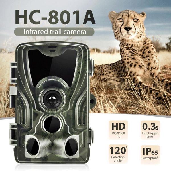 

hc801a hunting trail camera 16mp ip65 p traps 0.3s trigger time 940nm 1080p waterproof camera for wildlife surveillance