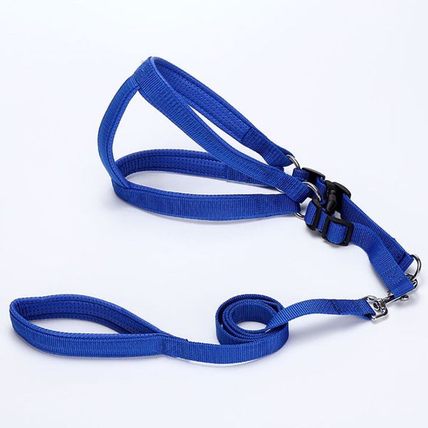 

foam strap and harness assembly, nylon big dog strap, three colors, 2.0 cm