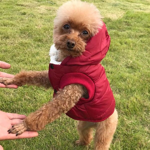 

pet dog clothes fleece and cotton lining extra warm dog hoodie in winter small dog jacket puppy coats with hooded wx9-1792