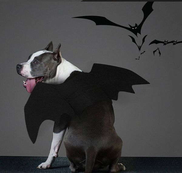 

fashion pet cosplay clothes dogs cats halloween costume black b bbyxmf cxj_love